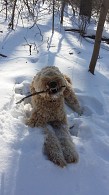 "Rawr, I love this stick"